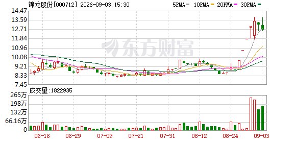 锦龙股份1800万股法拍受热捧 “牛散”全盘拿下